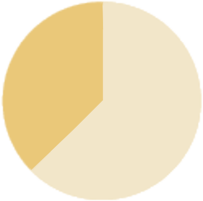 10K Gold icon - 10% gold. Surface gold is used in low quality alternative gold products. These pieces are filled with other dirty metals and only plated at the end with extremely thin layers of gold.