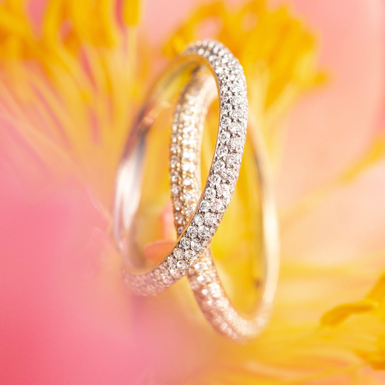 The Dalliance Pavé Rings - both White Gold and Yellow Gold shown on their sides here - feature three rows of pavé diamonds to allow maximum sparkle on the finger.